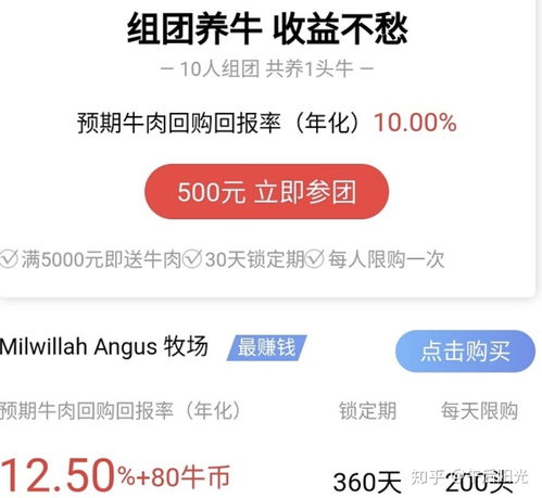 网上还能 养牛 全民养牛创新互联网养殖模式,人人能做牧场主